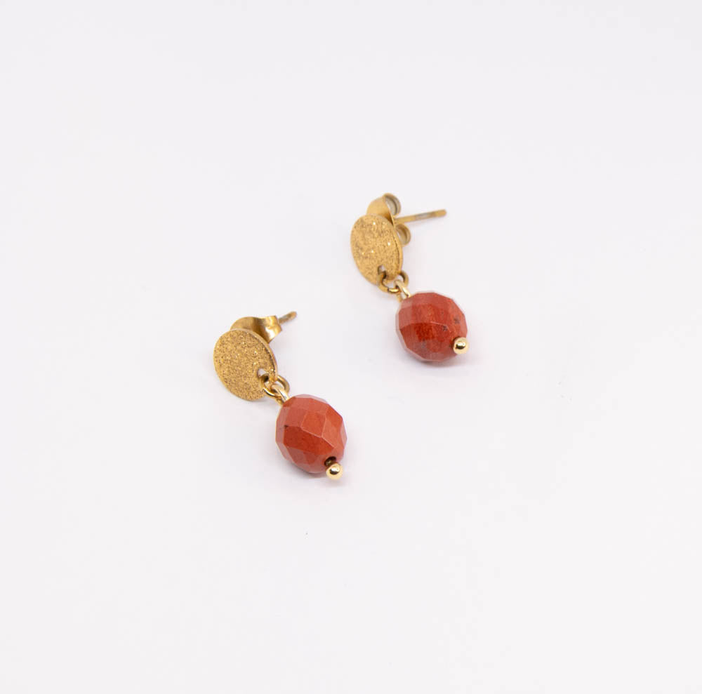 Cotoneaster